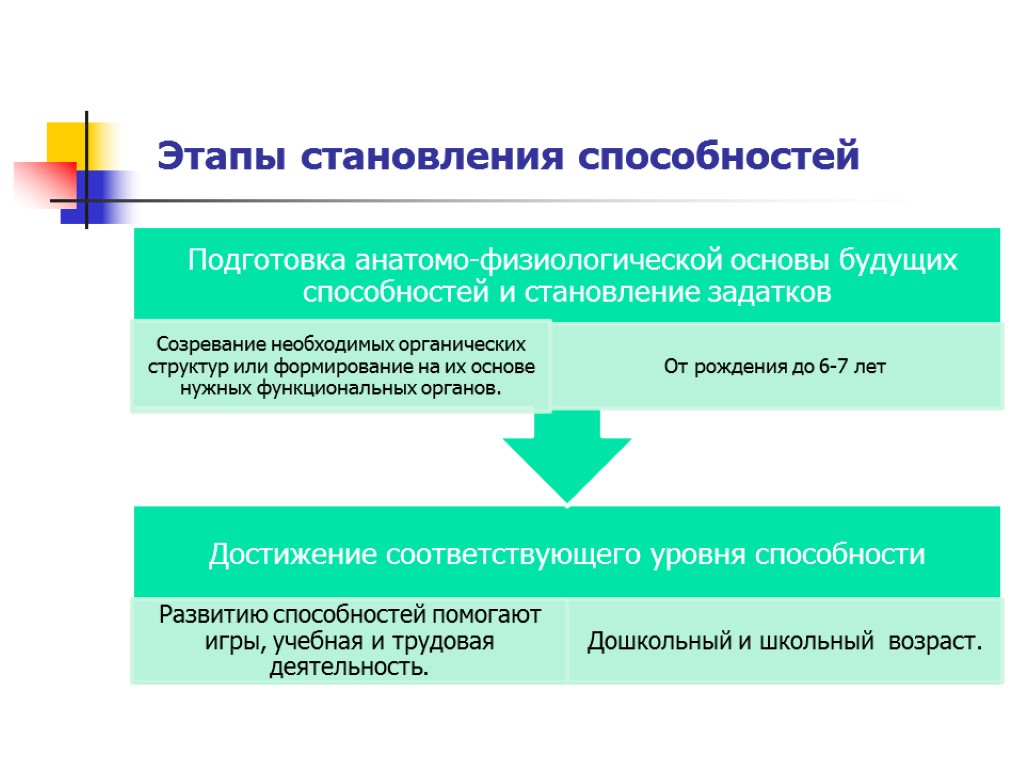 Этапы становления способностей